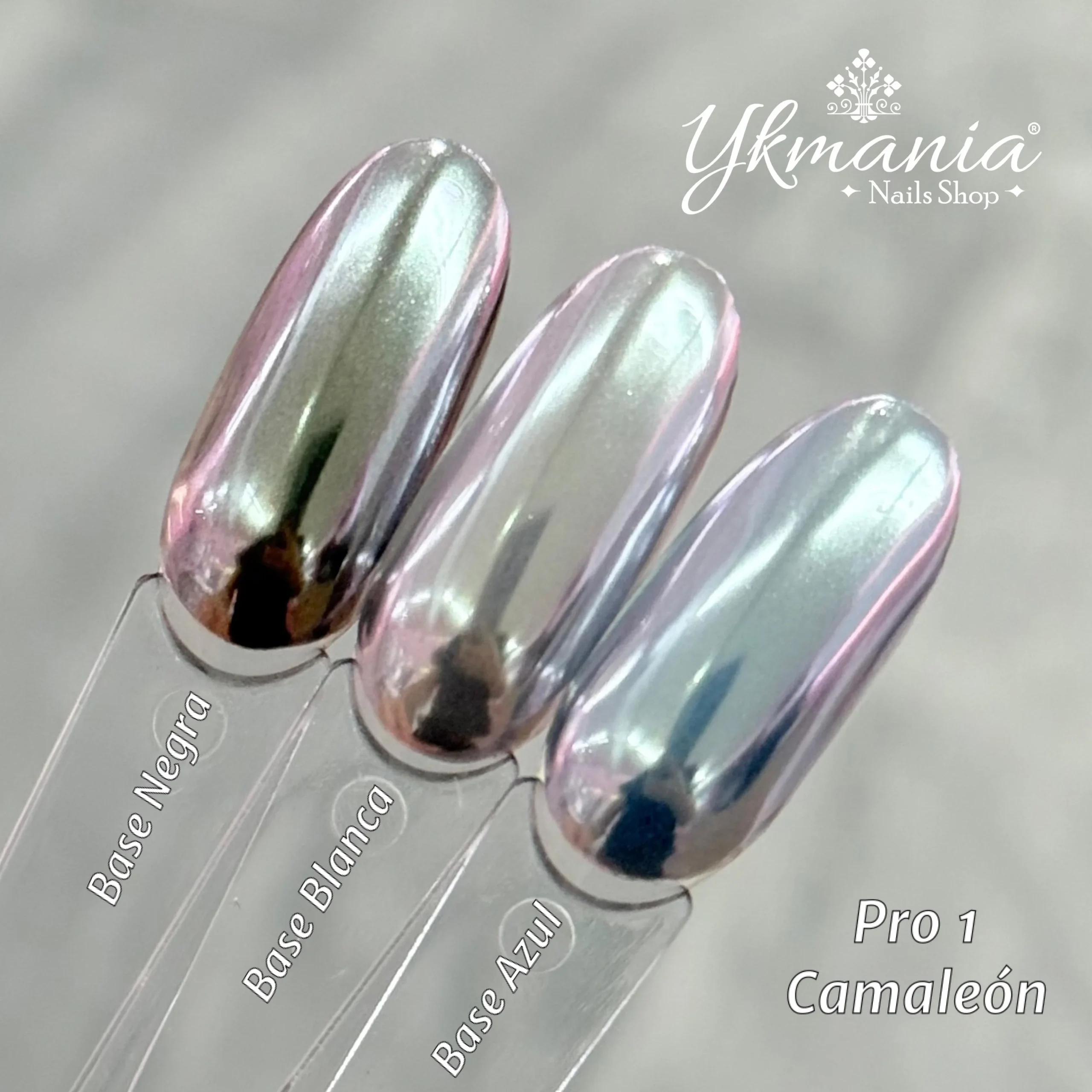 WhatsApp Image 2025-03-11 at 10.08.55 AM (1)