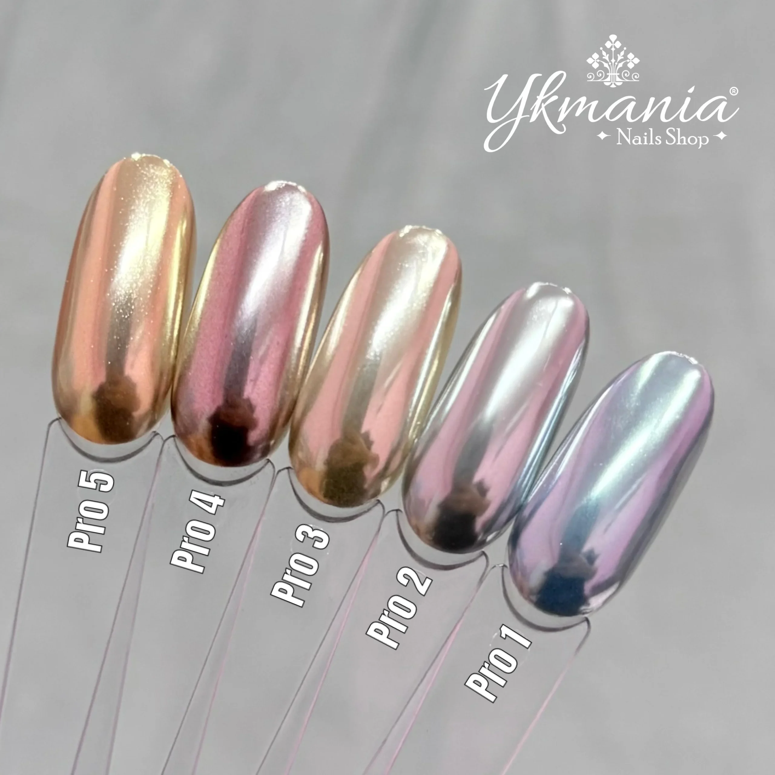 WhatsApp Image 2025-03-11 at 10.08.55 AM