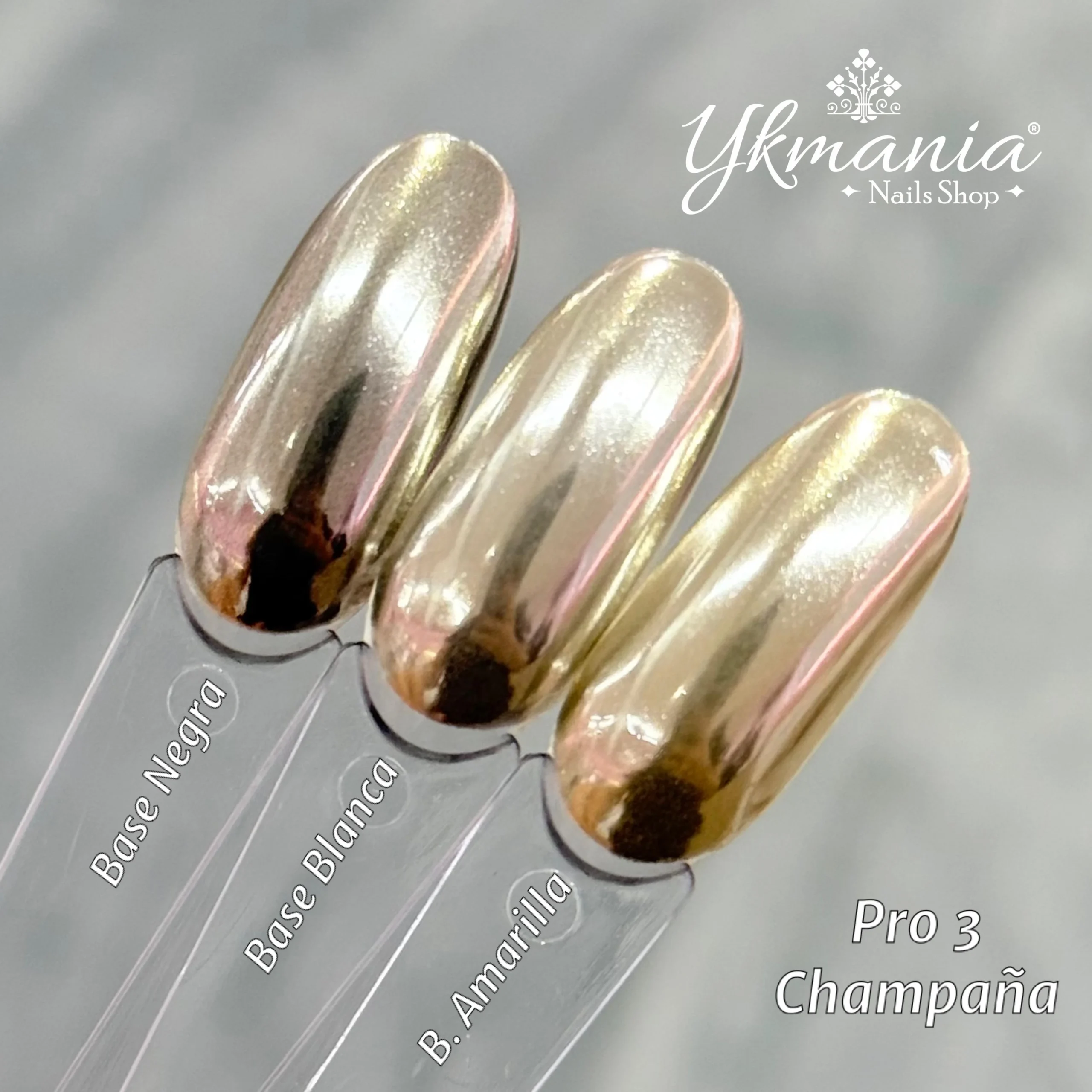 WhatsApp Image 2025-03-11 at 10.08.56 AM (1)